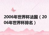 2006年世界杯法国（2006年世界杯排名）