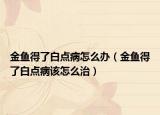 金鱼得了白点病怎么办（金鱼得了白点病该怎么治）