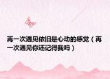 再一次遇见依旧是心动的感觉（再一次遇见你还记得我吗）