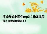 汪峰我如此爱你mp3（我如此爱你 汪峰演唱歌曲）