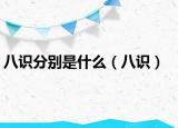 八识分别是什么（八识）