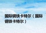国际钢铁卡特尔（国际钢铁卡特尔）
