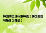 韩国哪里说标准韩语（韩国的国骂是什么韩语）