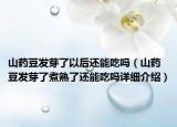 山药豆发芽了以后还能吃吗（山药豆发芽了煮熟了还能吃吗详细介绍）