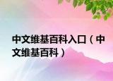 中文维基百科入口（中文维基百科）