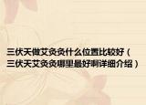 三伏天做艾灸灸什么位置比较好（三伏天艾灸灸哪里最好啊详细介绍）