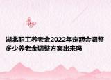 湖北职工养老金2022年定额会调整多少养老金调整方案出来吗