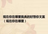 现在你在哪里我真的好想你文案（现在你在哪里）