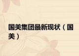 国美集团最新现状（国美）