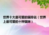 世界十大最可爱的猫排名（世界上最可爱的十种猫咪）