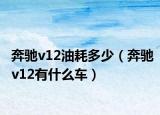 奔驰v12油耗多少（奔驰v12有什么车）