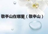 敬亭山在哪里（敬亭山）