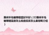 惠州半岛翡翠楼盘好不好（﻿﻿惠州半岛翡翠精装房怎么验房应该怎么查询呢介绍）