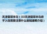 天津翡翠半岛（﻿﻿天津翡翠半岛房子入住需要注意什么谁知道呢介绍）