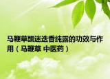 马鞭草酮迷迭香纯露的功效与作用（马鞭草 中医药）