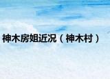 神木房姐近况（神木村）