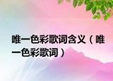 唯一色彩歌词含义（唯一色彩歌词）