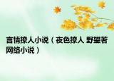言情撩人小说（夜色撩人 野望著网络小说）