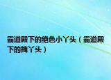 霸道殿下的绝色小丫头（霸道殿下的拽丫头）