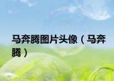 马奔腾图片头像（马奔腾）