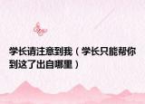 学长请注意到我（学长只能帮你到这了出自哪里）