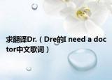 求翻译Dr.（Dre的I need a doctor中文歌词）