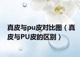 真皮与pu皮对比图（真皮与PU皮的区别）