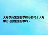 大专学历出国留学有必要吗（大专学历可以出国留学吗）