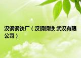 汉钢钢铁厂（汉钢钢铁 武汉有限公司）