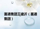 富通集团王建沂（富通集团）
