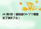 ch 涓斧（谁知道CH-丫丫哪里去了消失了么）