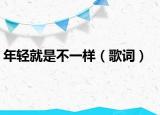 年轻就是不一样（歌词）