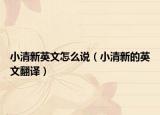 小清新英文怎么说（小清新的英文翻译）