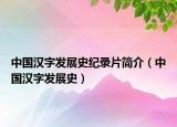 中国汉字发展史纪录片简介（中国汉字发展史）