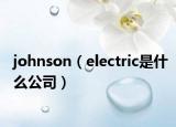 johnson（electric是什么公司）