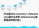 什么是data recovery（datarecovery是什么文件 datarecovery是系统文件吗介绍）