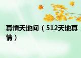 真情天地间（512天地真情）