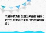 印尼海参为什么泡出来是白色的（为什么海参泡出来是白色的详细介绍）