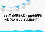 ppt里如何加水印（ppt如何加水印 怎么在ppt加水印介绍）