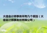 大信会计师事务所有几个级别（大信会计师事务所有限公司）
