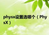 physx设置选哪个（PhysX）