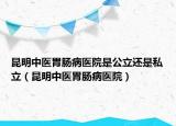 昆明中医胃肠病医院是公立还是私立（昆明中医胃肠病医院）