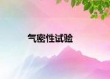 气密性试验