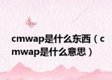 cmwap是什么东西（cmwap是什么意思）