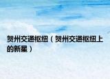 贺州交通枢纽（贺州交通枢纽上的新星）