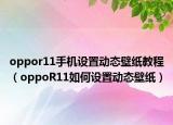 oppor11手机设置动态壁纸教程（oppoR11如何设置动态壁纸）