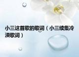 小三这首歌的歌词（小三续集冷漠歌词）
