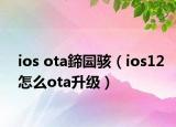 ios ota鍗囩骇（ios12怎么ota升级）