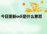 今日更新odi是什么意思