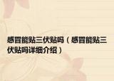 感冒能贴三伏贴吗（感冒能贴三伏贴吗详细介绍）